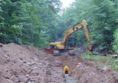An excavator digging a hole in the forest